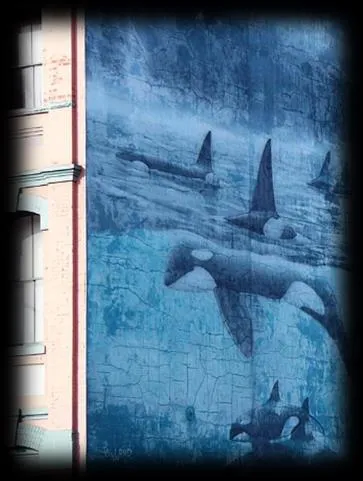 Blank wall murals