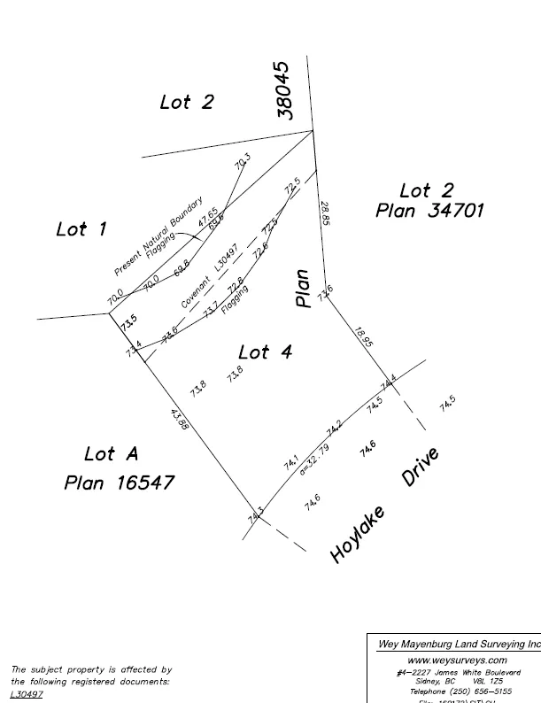 Flagged Streamside Protection and Enhancement Area (SPEA) map