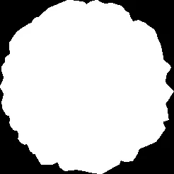 Contact and address block