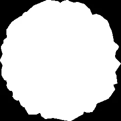 Checked / Drawn / Designed / Scale fields