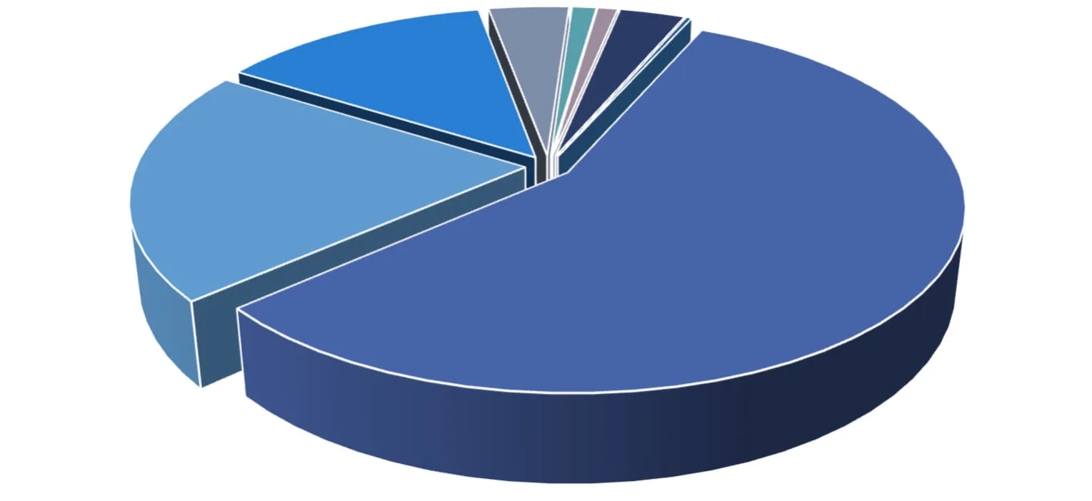 Top 5 Other Criminal Code Violations chart