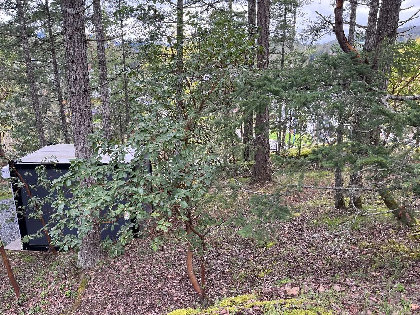 Photo from front of house looking west