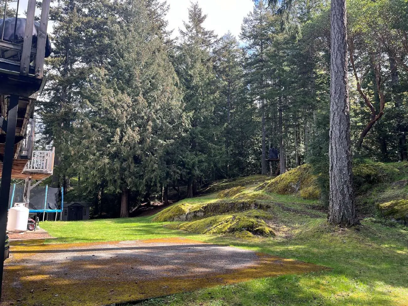 Photo of backyard looking east from the house