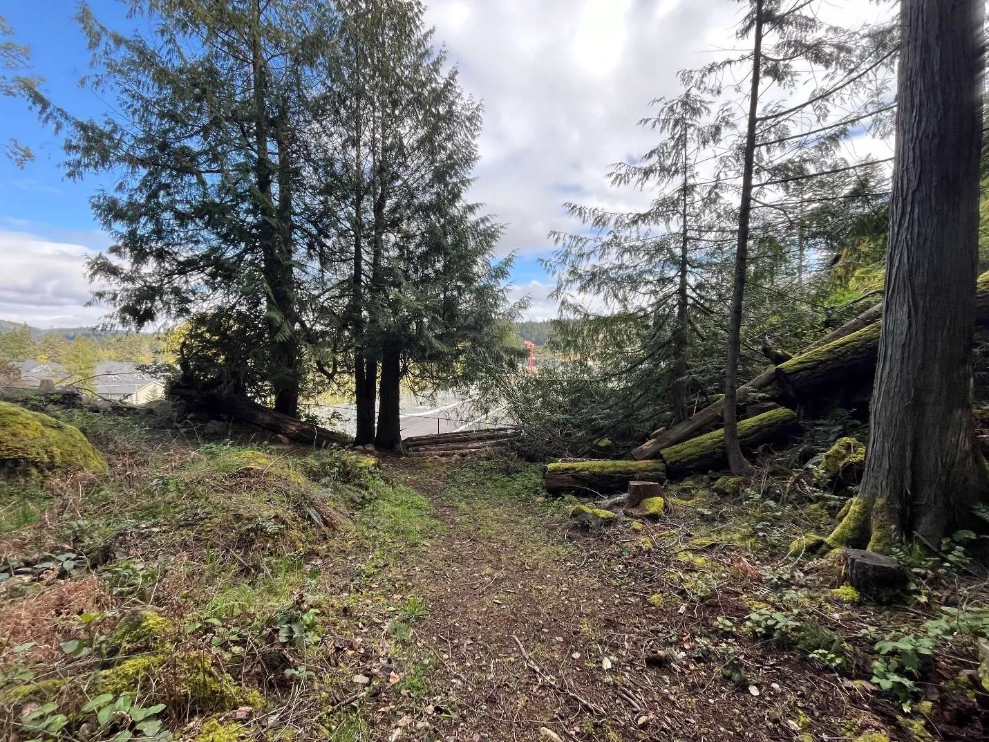 Photo of eastern property side looking south