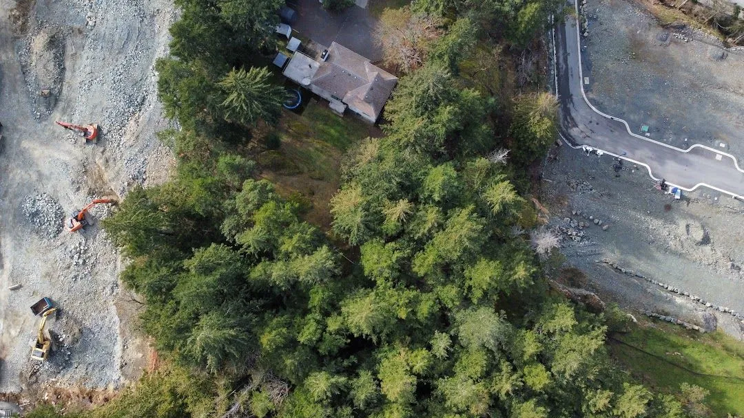 Photo(s) of southeast portion showing trees/terrain