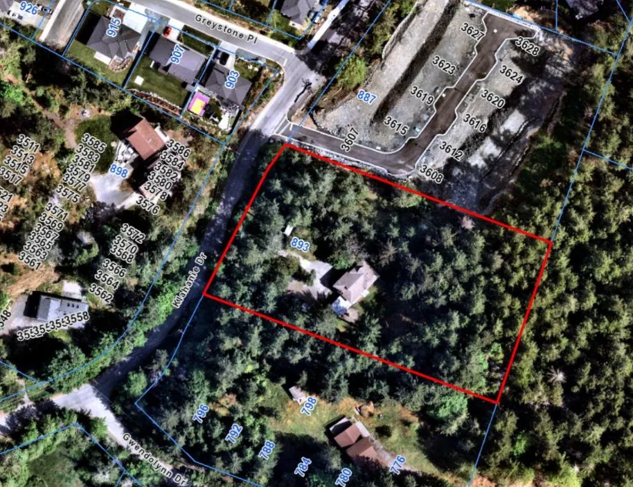 Photo(s) of southern property line east of house — multiple images