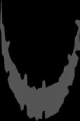 extracted visual asset on page 70