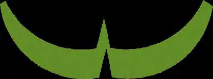 extracted visual asset on page 70