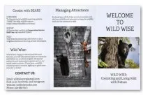 extracted visual asset on page 207