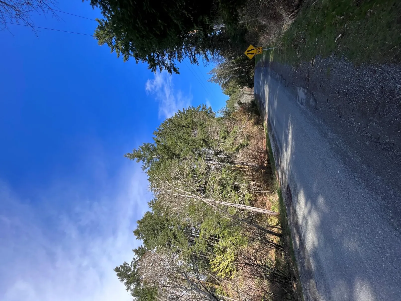 Photo overlay showing park/creek vegetation adjacent to site