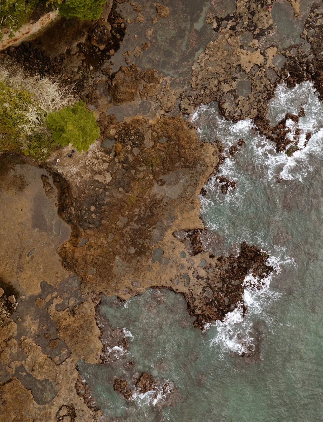 extracted visual asset on page 274