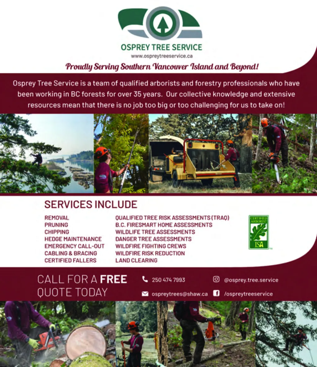 Advertisement graphic