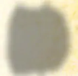 Small advertisement or filler graphic