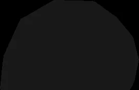 EXTERIOR ELEVATIONS (A1.0)