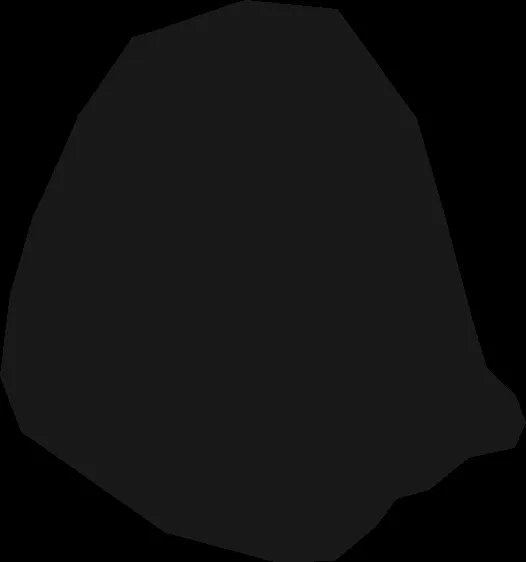 EXTERIOR ELEVATIONS (A1.0)