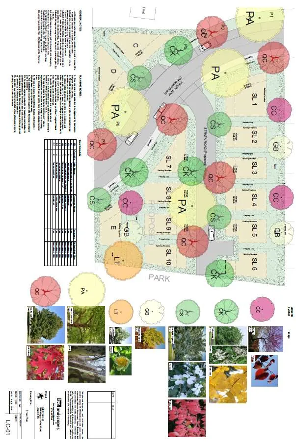Preliminary landscape plan indicating anticipated type and location of new trees