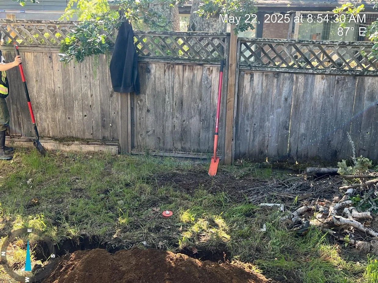 Excavation trench and exposed roots near the offsite Garry Oak, OS11