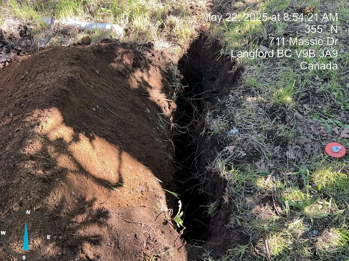 Exploratory excavation near Douglas Firs OS5 and 1179