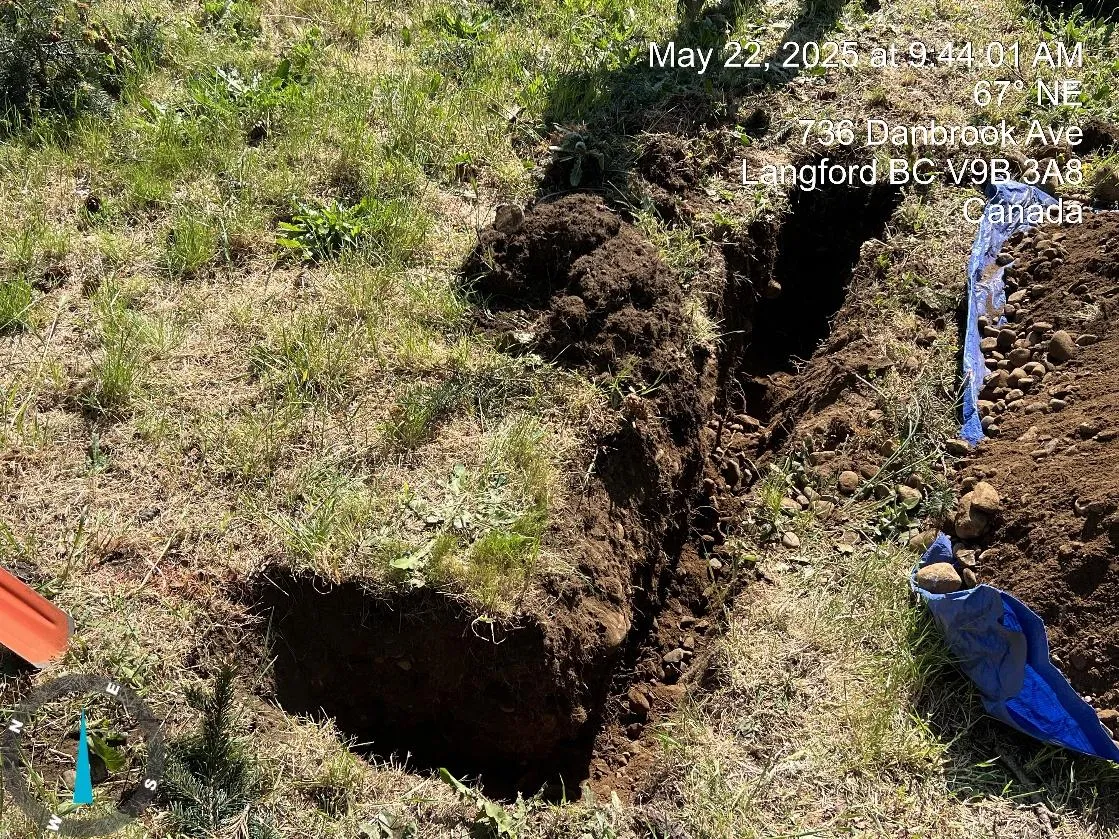 Exploratory excavation near onsite Douglas Fir 1179