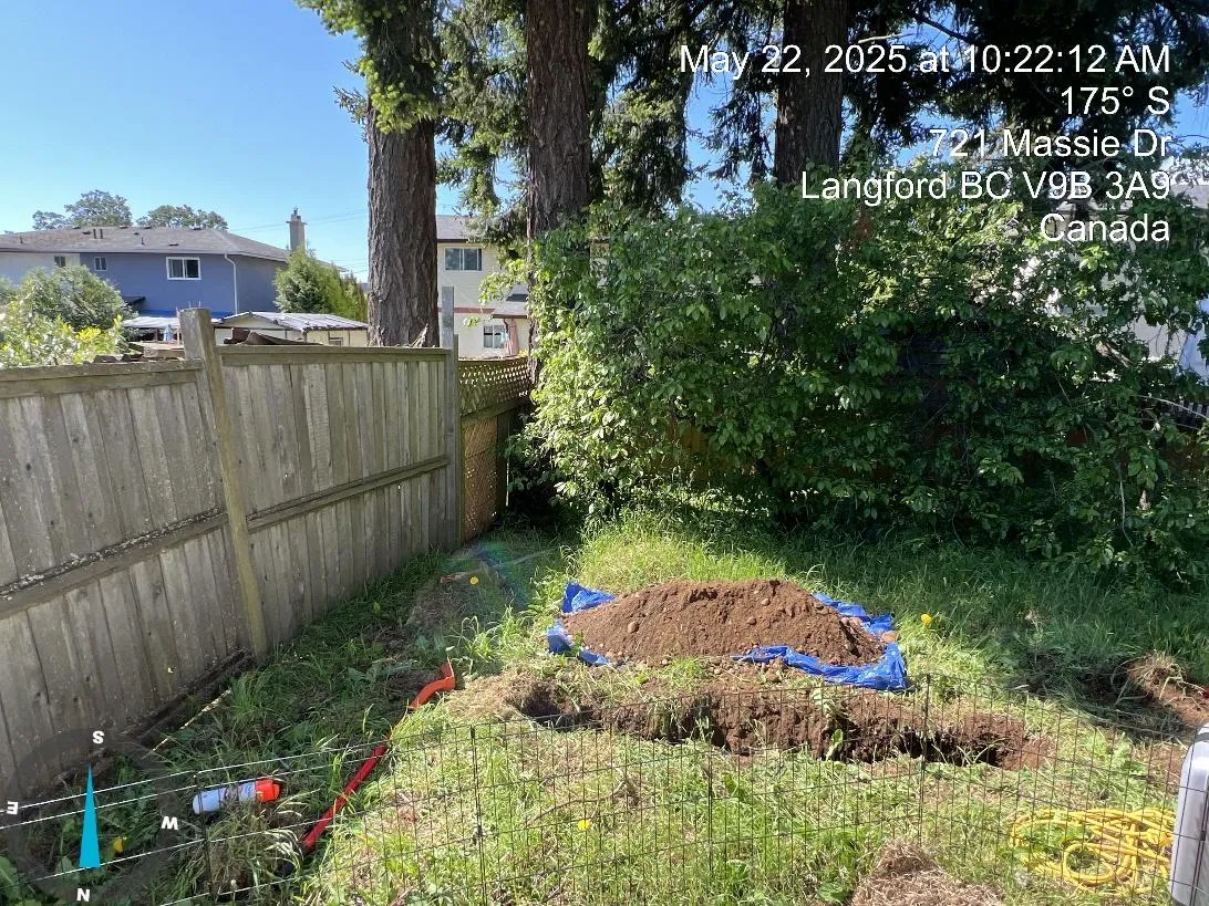 Excavation trench and exposed roots near onsite Douglas Fir 1179