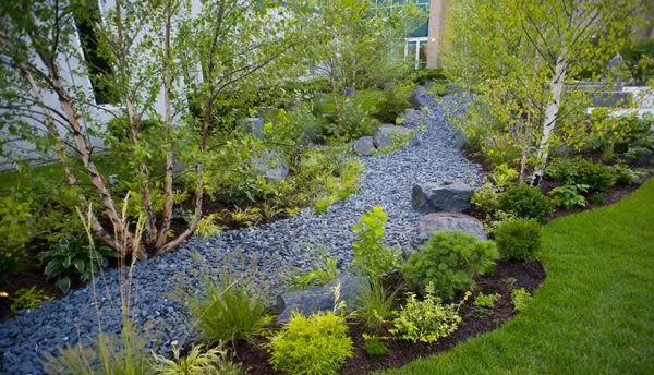 Landscape integrated with rainwater management.