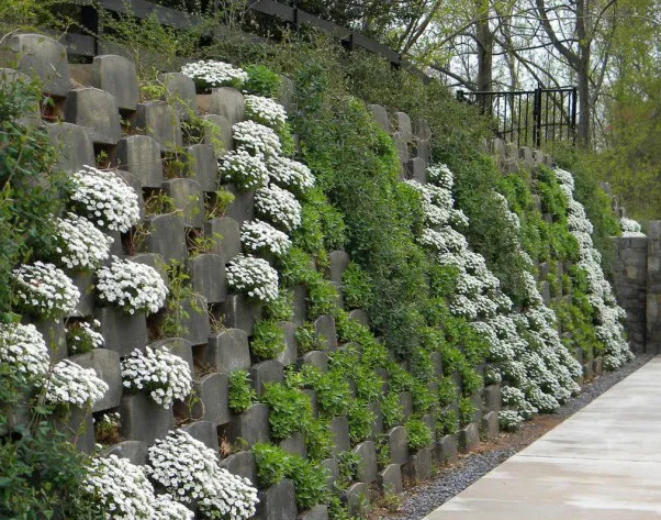 Rooftop planting and amenity space.