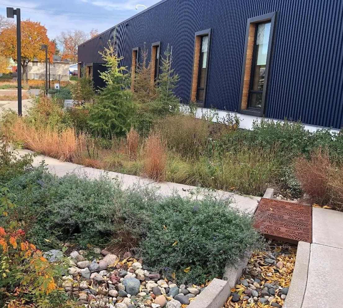 Streetscape landscaping enhancing the pedestrian experience.