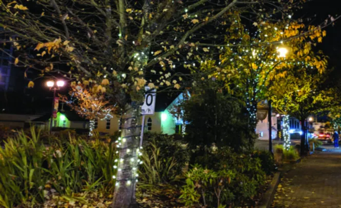 Christmas lights being installed in Langford (Lindsey Horsting/News staff)