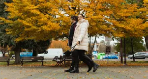 extracted visual asset on page 145