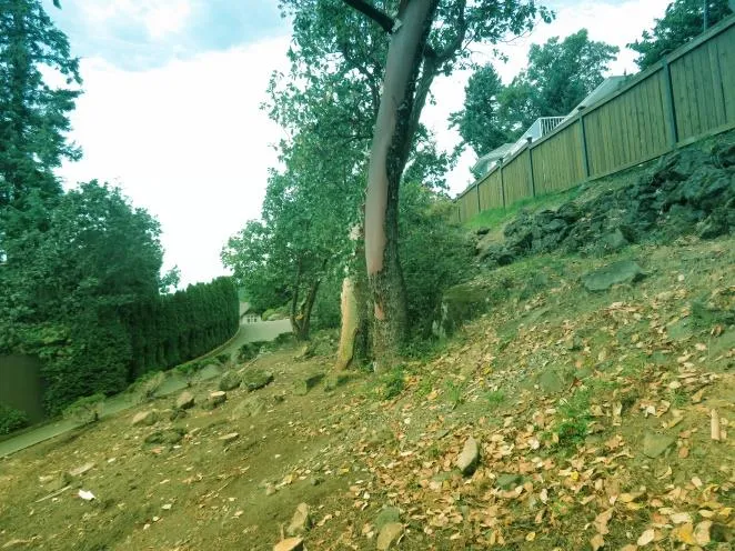 Photo — Top right: Deck would extend upslope. Note: Low fuel loading on slope