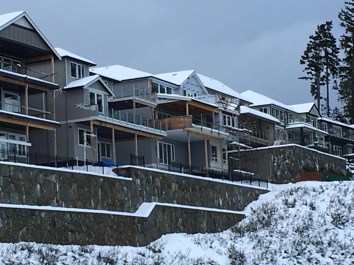 Photo 3 — Rear of house showing neighbouring houses, looking northeast