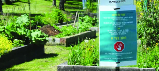 View Royal community gardens photo (gardeners and plots)